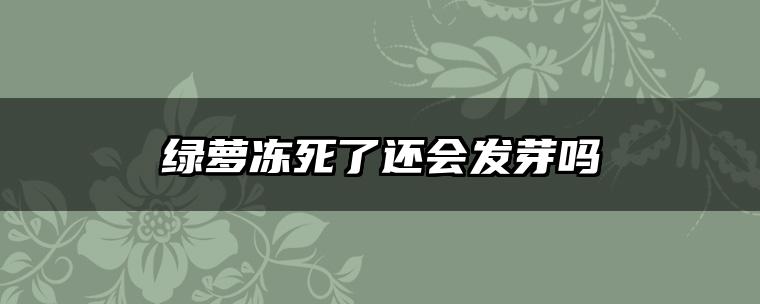 绿萝冻死了还会发芽吗