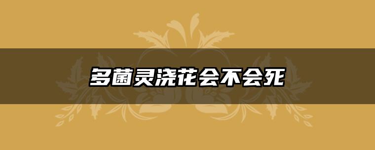 多菌灵浇花会不会死