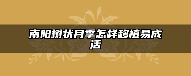南阳树状月季怎样移植易成活