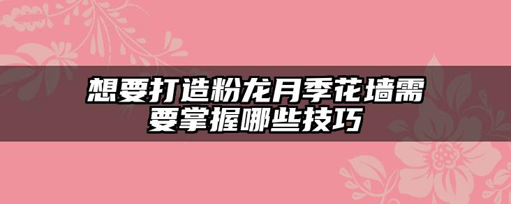 想要打造粉龙月季花墙需要掌握哪些技巧