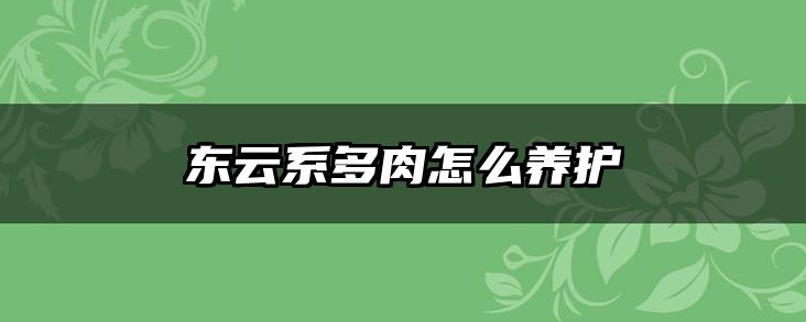 东云系多肉怎么养护