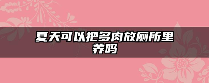 夏天可以把多肉放厕所里养吗