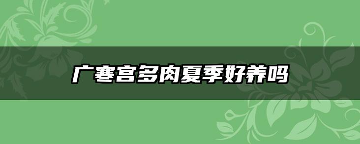 广寒宫多肉夏季好养吗