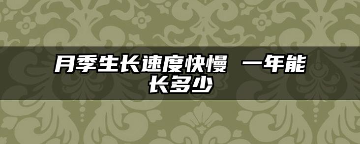月季生长速度快慢 一年能长多少