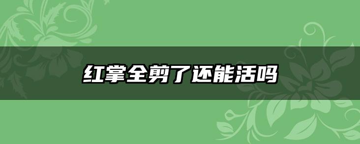 红掌全剪了还能活吗