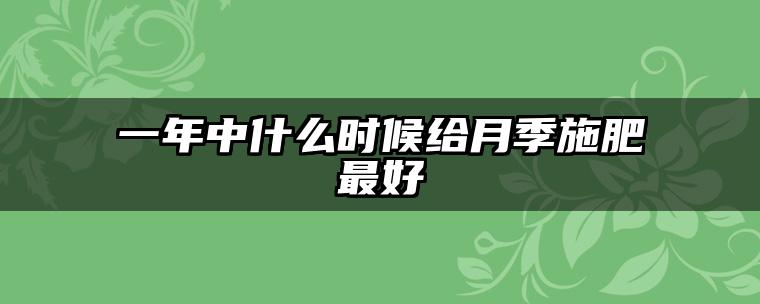 一年中什么时候给月季施肥最好