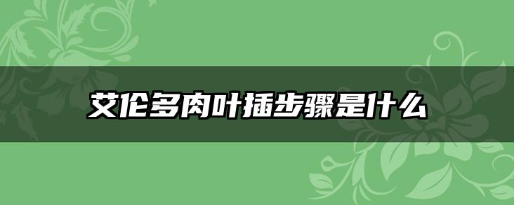 艾伦多肉叶插步骤是什么