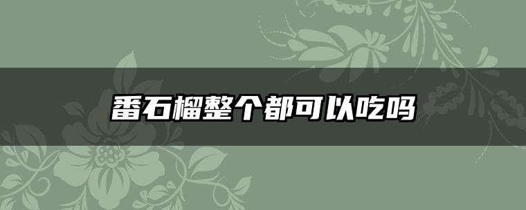 番石榴整个都可以吃吗