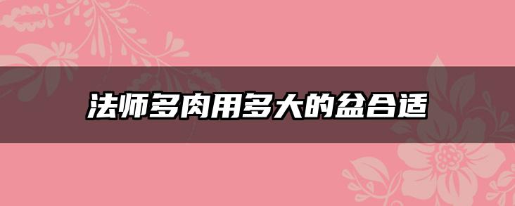 法师多肉用多大的盆合适
