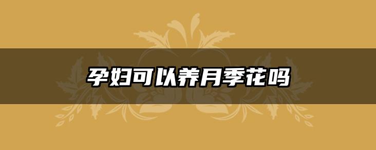 孕妇可以养月季花吗