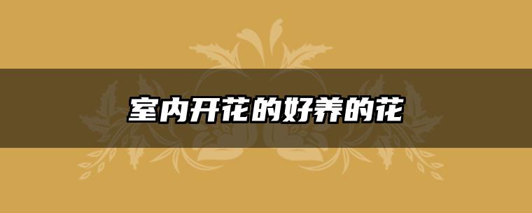 室内开花的好养的花