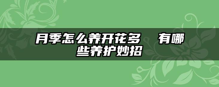 月季怎么养开花多 有哪些养护妙招
