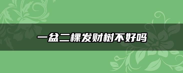 一盆二棵发财树不好吗