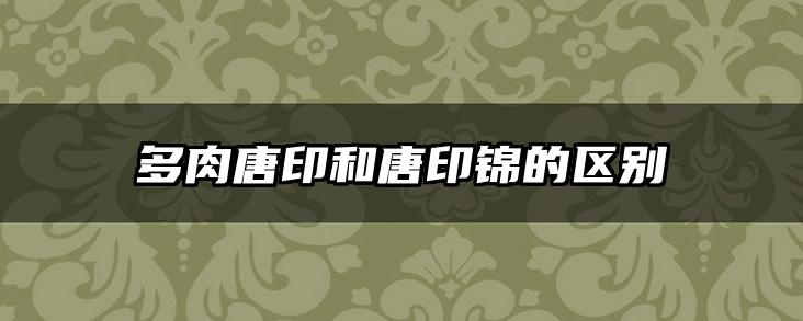 多肉唐印和唐印锦的区别