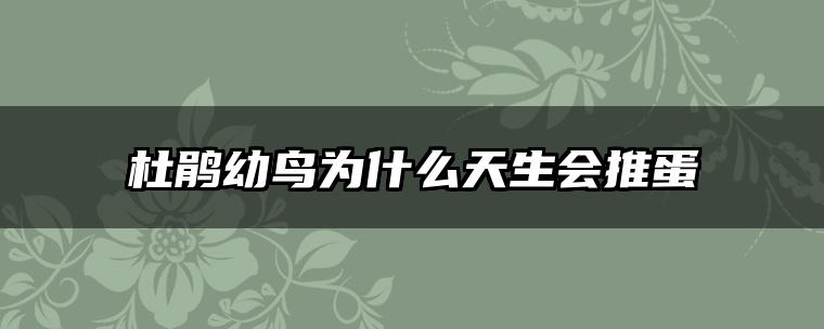 杜鹃幼鸟为什么天生会推蛋