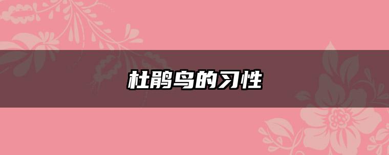 杜鹃鸟的习性