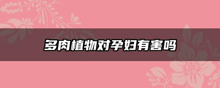 多肉植物对孕妇有害吗