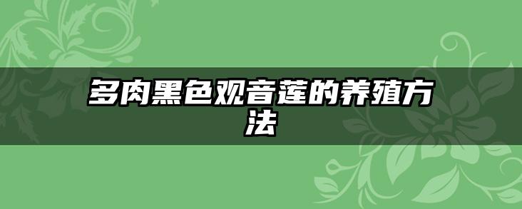 多肉黑色观音莲的养殖方法