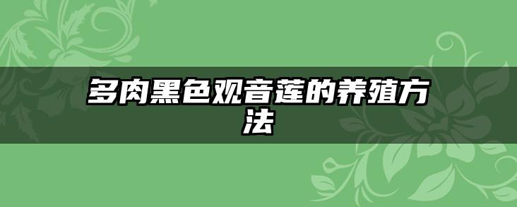 多肉黑色观音莲的养殖方法