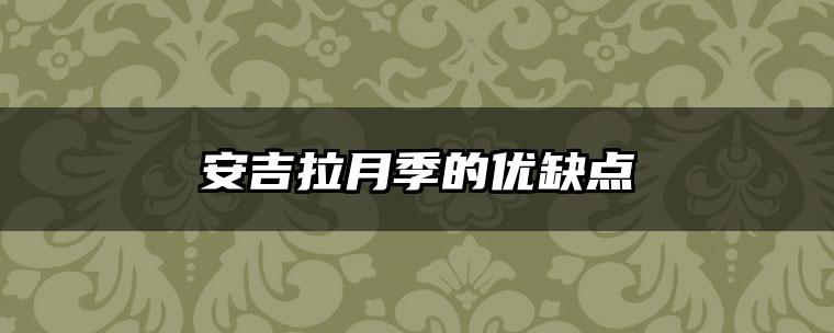 安吉拉月季的优缺点