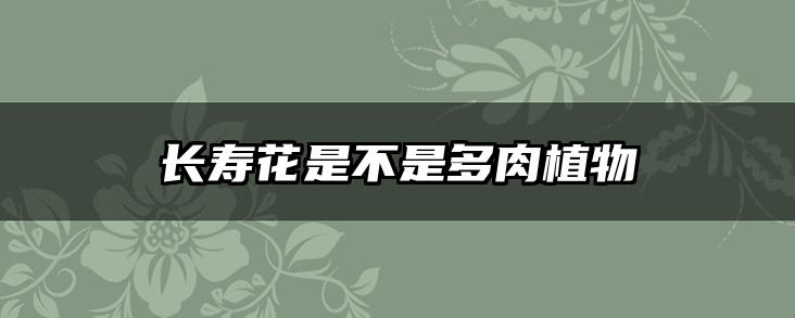 长寿花是不是多肉植物