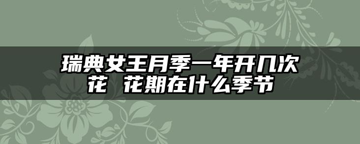瑞典女王月季一年开几次花 花期在什么季节