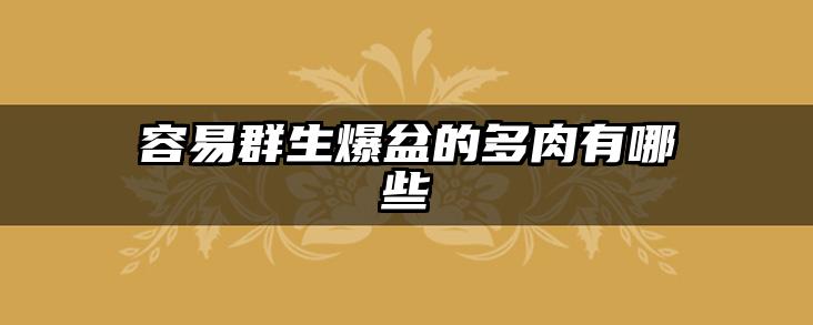 容易群生爆盆的多肉有哪些