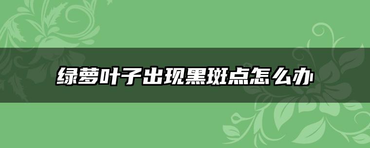 绿萝叶子出现黑斑点怎么办
