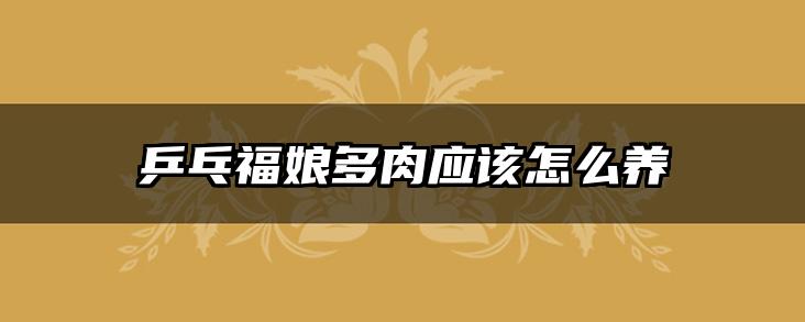 乒乓福娘多肉应该怎么养