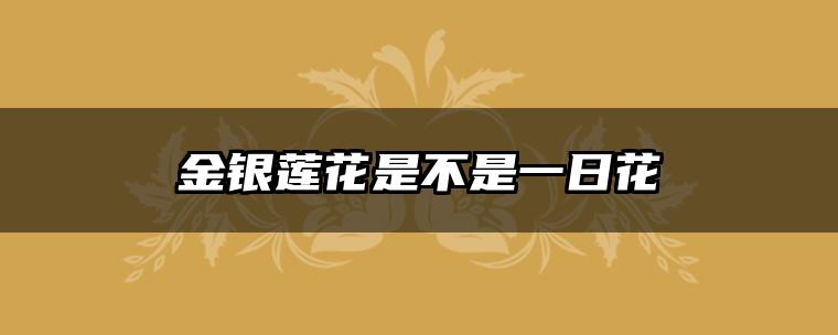 金银莲花是不是一日花