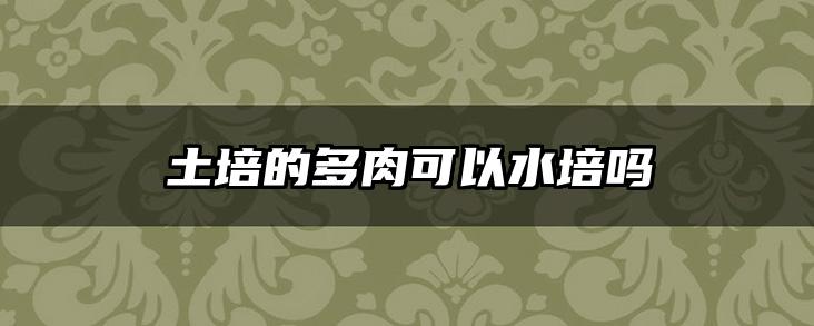 土培的多肉可以水培吗