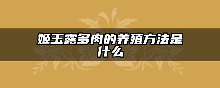 姬玉露多肉的养殖方法是什么
