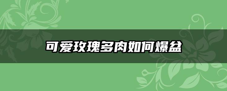可爱玫瑰多肉如何爆盆