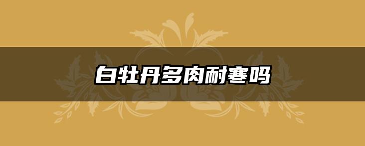 白牡丹多肉耐寒吗