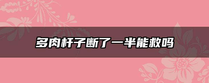 多肉杆子断了一半能救吗