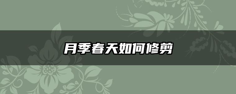 月季春天如何修剪
