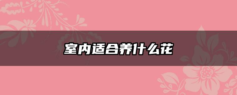 室内适合养什么花