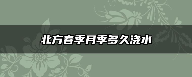 北方春季月季多久浇水