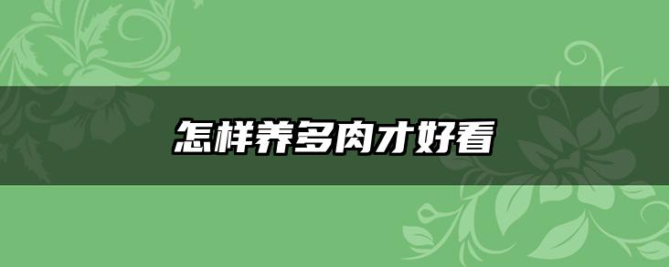 怎样养多肉才好看