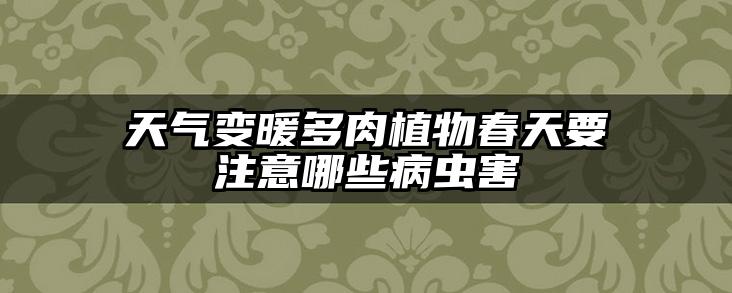 天气变暖多肉植物春天要注意哪些病虫害