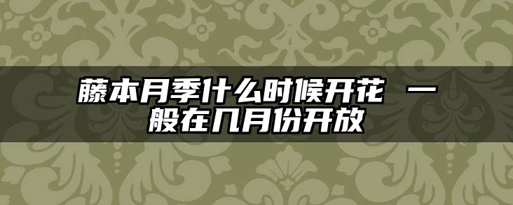 藤本月季什么时候开花 一般在几月份开放