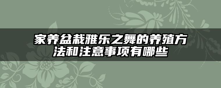 家养盆栽雅乐之舞的养殖方法和注意事项有哪些