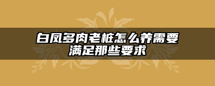 白凤多肉老桩怎么养需要满足那些要求