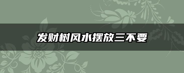 发财树风水摆放三不要