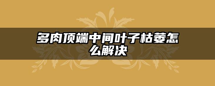 多肉顶端中间叶子枯萎怎么解决