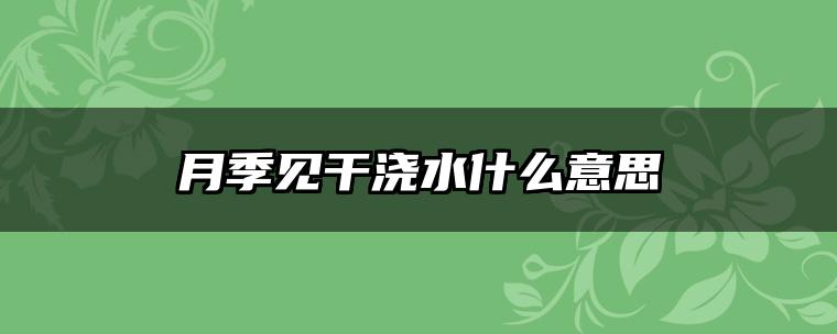 月季见干浇水什么意思
