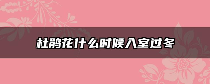 杜鹃花什么时候入室过冬