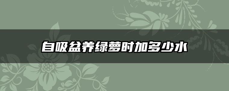 自吸盆养绿萝时加多少水