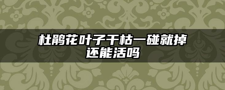 杜鹃花叶子干枯一碰就掉还能活吗