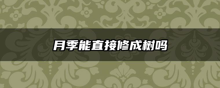 月季能直接修成树吗